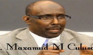 Somalia: Guidelines for Democratic Clan Based 2016 Electoral Model