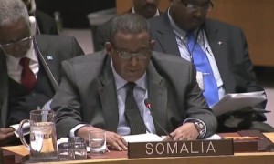 Remarks by H.E. Mr. Omar A. A. Sharmarke at UN Security Council
