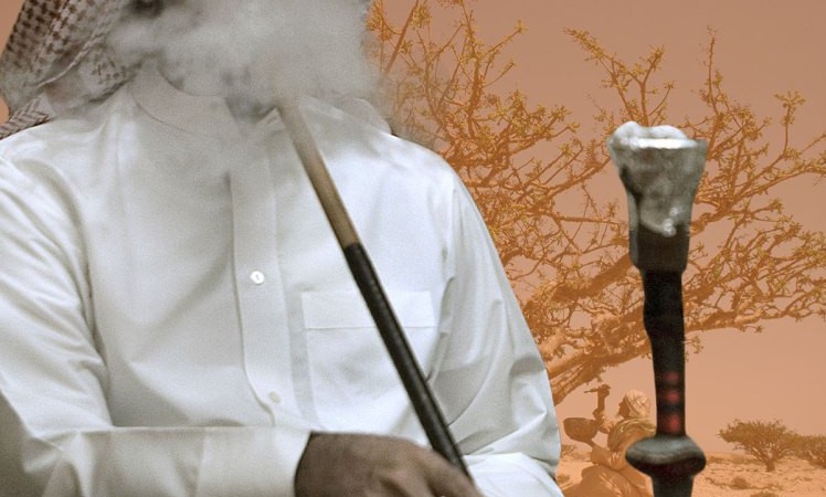 Somalia blames deforestation on Saudi Arabia smoking too much shisha