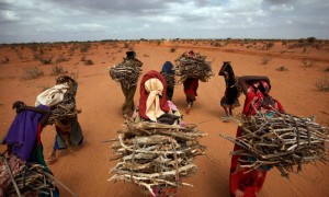 Dadaab refugee camp, detailed in ‘City of Thorns,’ is a world ripped from the world