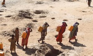 Somalia: Hope Springs