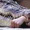 Man-eating crocodile killed in Somalia
