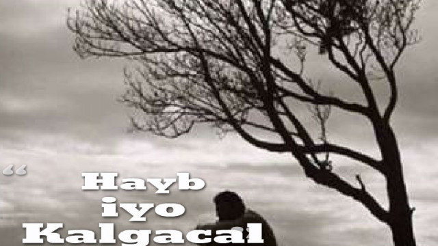 Hayb iyo Kalgacal ( Sheeko cusub oo Taxane ah) Q1AAD
