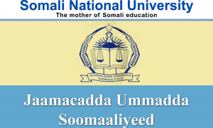 Somali National University back on feet from civil war