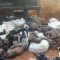 15 Somalians Suffocate in a truck in Luapula Province (Imagery warning)