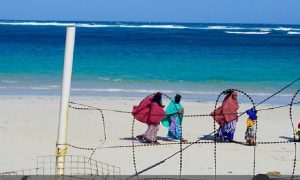 Mogadishu moves on after beach attack