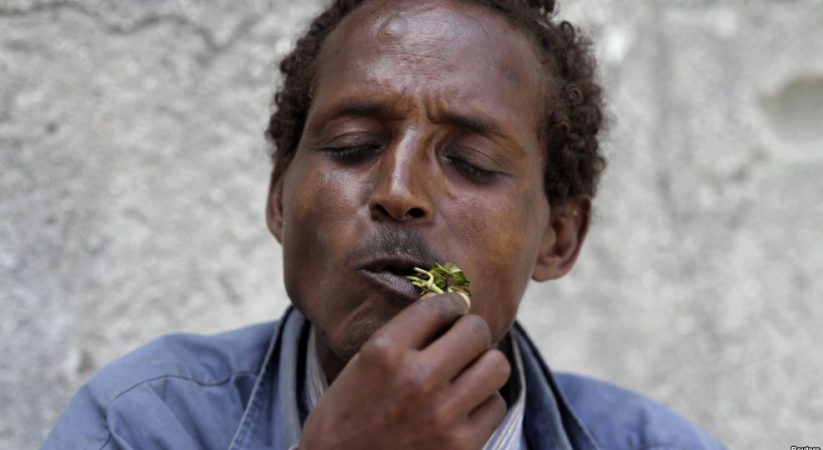Somali Ban on Popular Narcotic Takes Effect