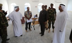 EMIRATES MUST KEEP THEIR HANDS OFF SOMALIA