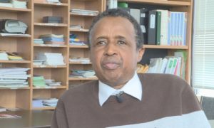 Ottawa’s Somali community needs more mental health services: settlement director