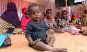 Hungry Somali families face agonising choice: which child to feed