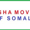 Wagosha Movement of Somalia warns Turkey, UAE over farming lands in southern Somalia