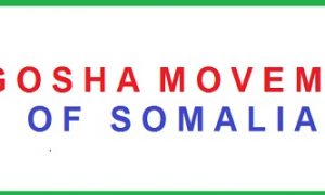 Wagosha Movement of Somalia warns Turkey, UAE over farming lands in southern Somalia