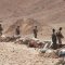 Al-Shabab claims killing 61 in Puntland army base raid