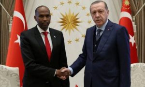 Strategic partnership basis of Turkish-Somali cooperation.