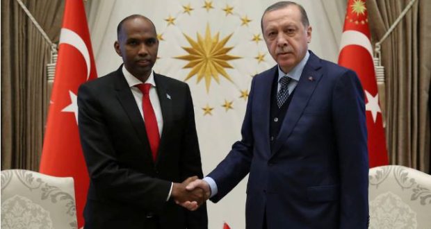 Strategic partnership basis of Turkish-Somali cooperation.
