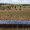 Somalia’s Solar-Powered Recovery