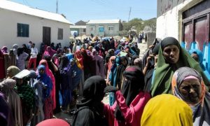 United Arab Emirates plays destructive role in Somalia