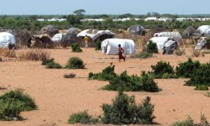 UN Creates Role to Help Refocus aid for Somali Refugees