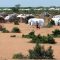 UN Creates Role to Help Refocus aid for Somali Refugees