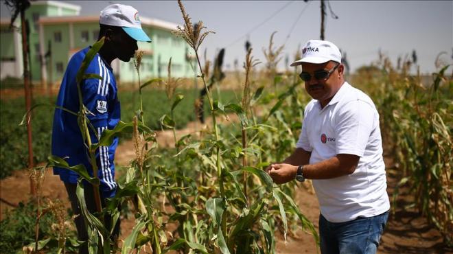 Turkish agencies bring modern agriculture to Somalia