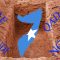 Foreign Entities Dig a Grave to Bury Somalia