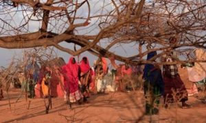 Somalia to probe evictions of thousands of displaced families