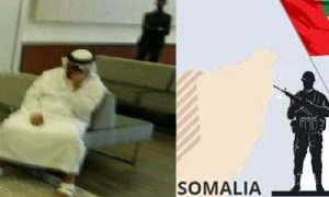 Will the Somali Government take legal ACTION against UAE or will be silent as usual?