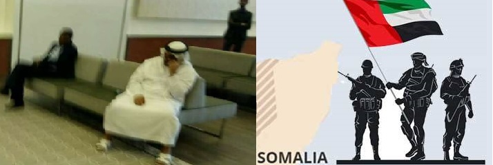 Will the Somali Government take legal ACTION against UAE or will be silent as usual?