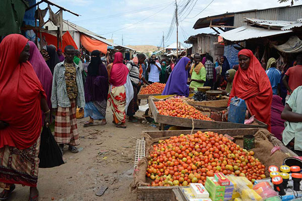 Norfund’s $10m to support Somali small businesses