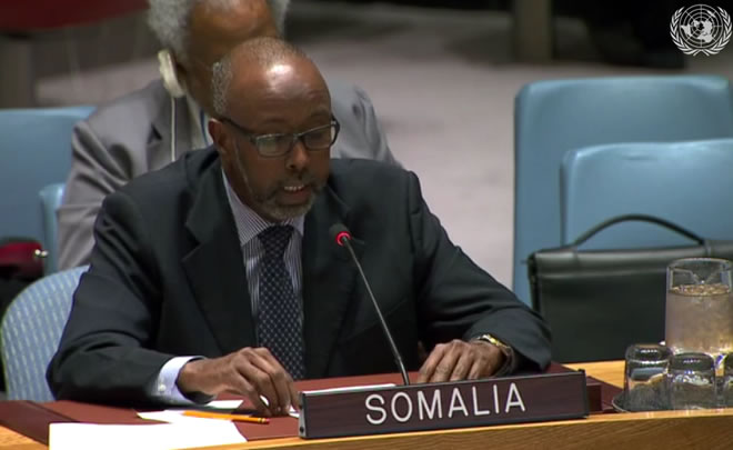Somalia tells UN not to interfere after expelling envoy