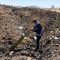 Ethiopian Airlines: ‘No survivors’ on crashed Boeing 737