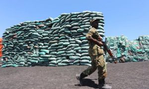 Regional partnership underway to help Somalia enforce the ban on illegal charcoal trade