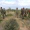 Gen.  Tareedisho “  xubno ka tirsan Al-Shabaab oo gaaraya 31-ruux ayaan ku dilnay Dagaalkii  Degmada Buulo Burte