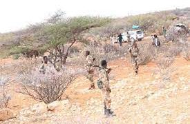 Al-Shabaab oo 15  looga dilay weerar ay ku qaadeen garoonka Dhuusamareeb
