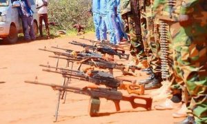 Ciidamo ka tirsan Somaliland oo u goostay Jabhadda SSC