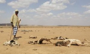 Xaaladda Abaarta Somaliland oo laga deyriyey
