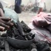 Inside Somalia’s vicious cycle of deforestation for charcoal
