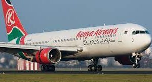 Qof Rakaab ah oo  ku dhex dhintay diyaarad ay leedahay Kenya Airways oo ka soo kicitintay New York kuna socotay magaalada Nairobi.