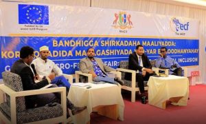 Challenges Of Access To Finance For MSMEs in Somalia
