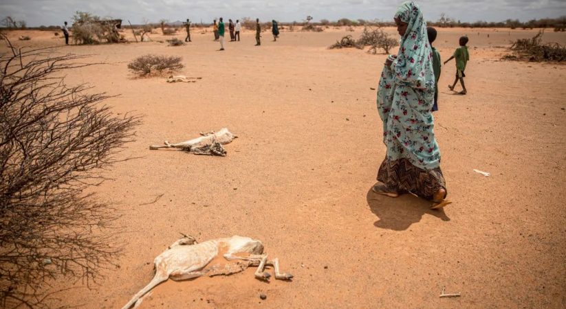 Drought and the Ukraine War Are Pushing Somalia Toward a Catastrophic Famine