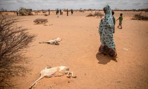 Without urgent assistance, Somalia is projected to face its second Famine in just over a decade