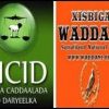 Waddani iyo UCID oo soo dhaweeyey go’aanka guddiga doorashooyinka Somaliland