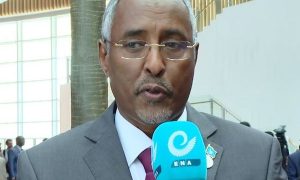 Somalia’s FM Says Fighting Terrorism is Common Objective of Ethiopia, Somalia