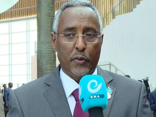 Somalia’s FM Says Fighting Terrorism is Common Objective of Ethiopia, Somalia