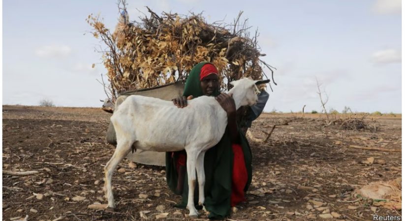 Drought killed 43,000 people in Somalia last year
