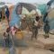 Forgotten displaced families in Middle Shabelle say they can’t get enough food