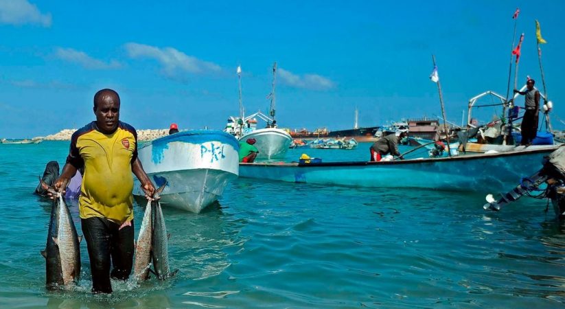 Puntland State contradicts Somalia’s blue economy strategy