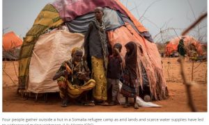 Families walking kilometres for water in Somalia’s worst drought in decades, says Saskatoon aid worker