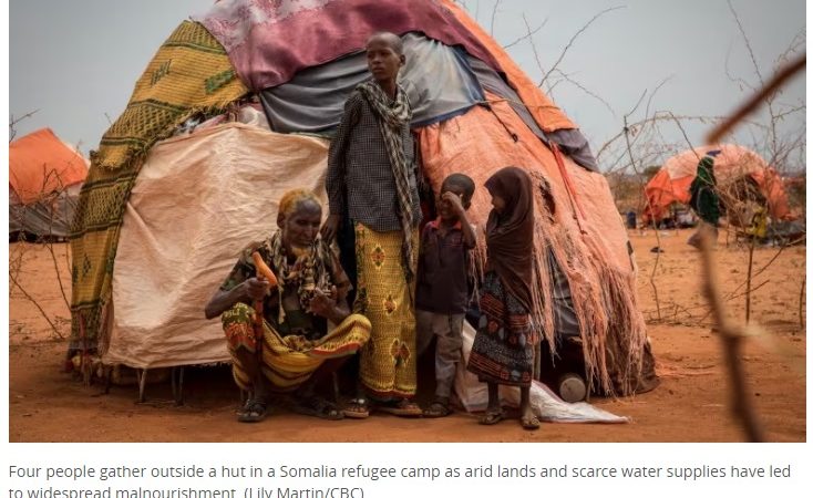 Families walking kilometres for water in Somalia’s worst drought in decades, says Saskatoon aid worker