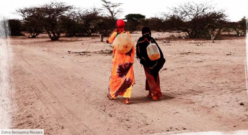 ‘I poison my children in order to survive’: The terrible toll of Somalia’s drought
